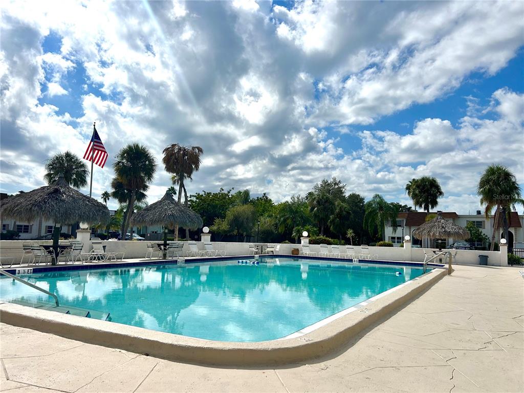 247 South McMullen Booth Road, Unit 23 Clearwater, FL 33759 - Photo 36 of 47 a view of a swimming pool with a yard