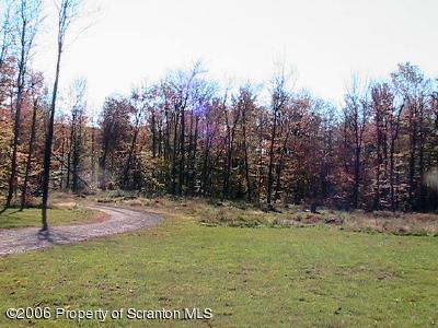 699 Ravnikar Road Browndale, PA 18421 - Photo 3 of 6 Gallery Image 3