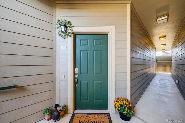 a view of a porch with a potted plant