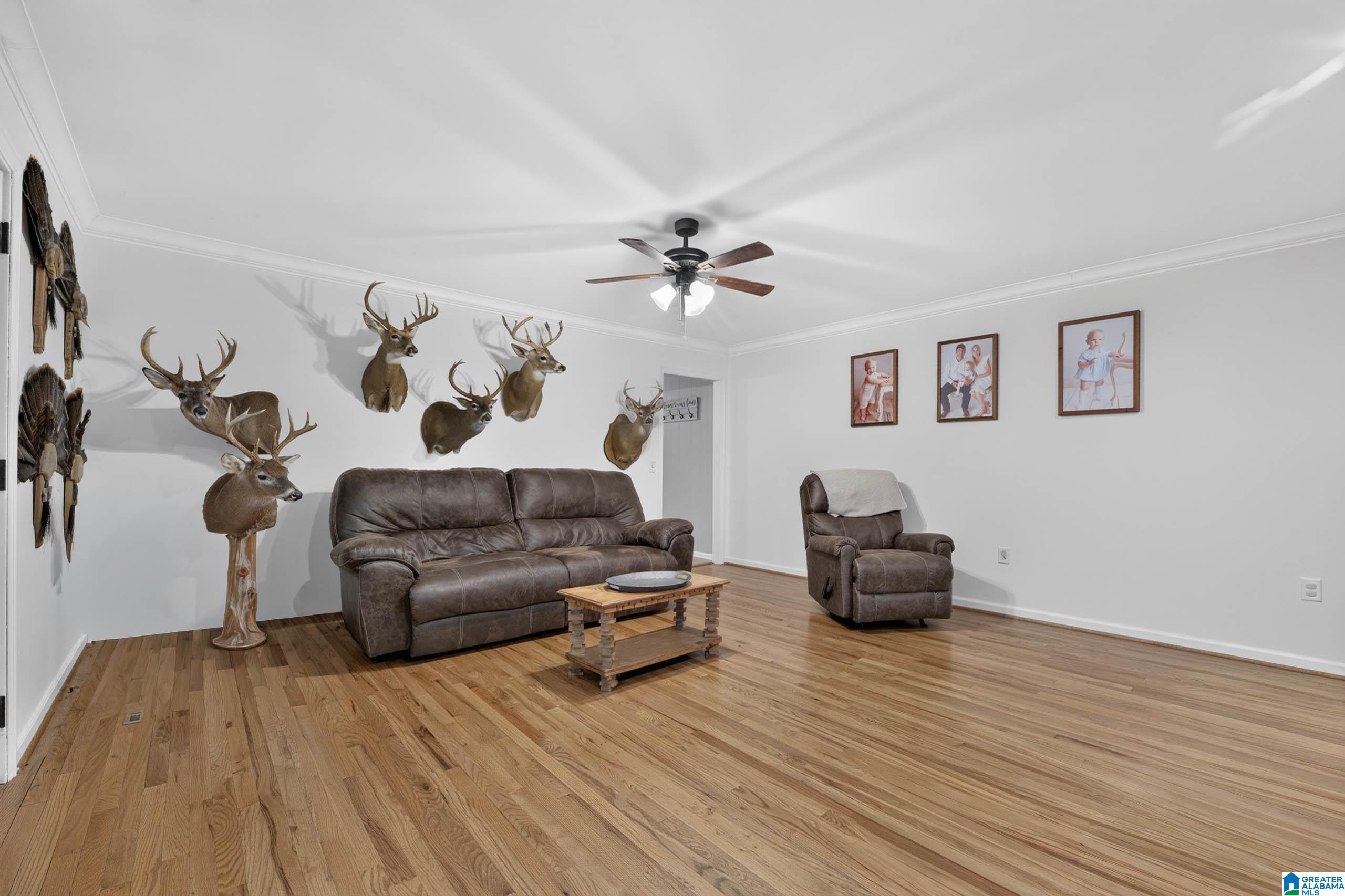 716 King Road Oneonta, AL 35121 - Photo 2 of 52