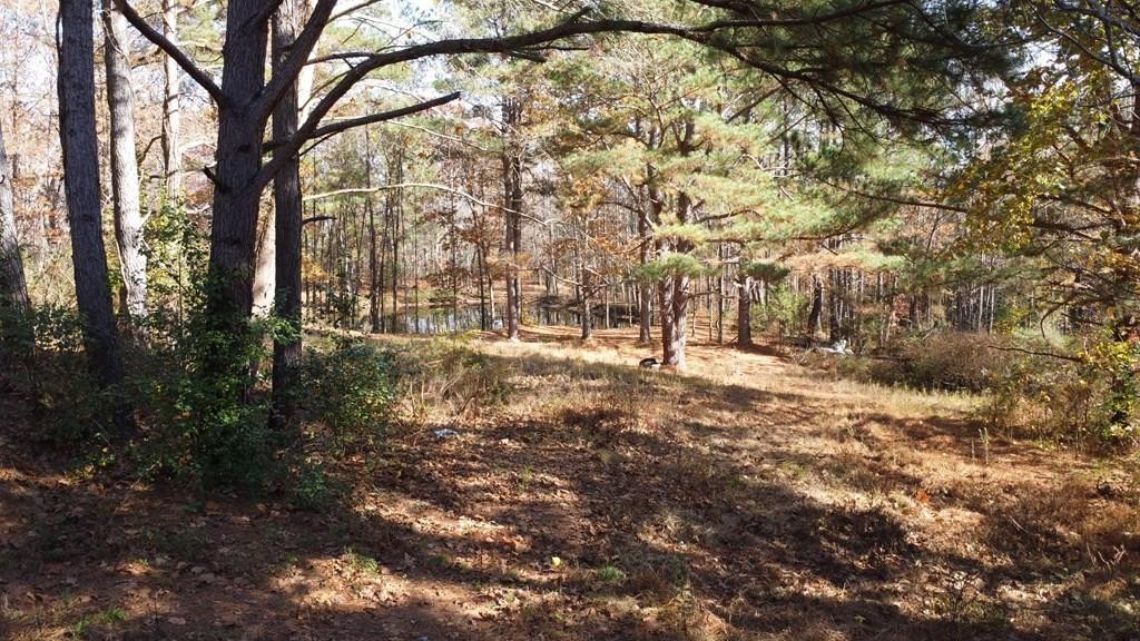 2299 Thompson School Road Camden, TN 38320 - Photo 4 of 10 Gallery Image 4