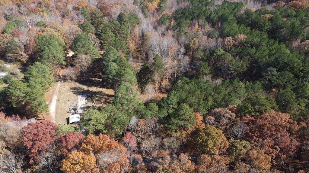 2299 Thompson School Road Camden, TN 38320 - Photo 8 of 10 Gallery Image 8