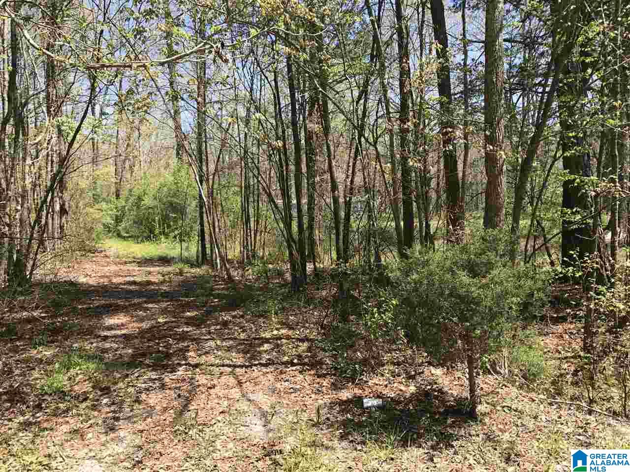 4133 Roy Webb Road, Unit 1 Jacksonville, AL 36265 - Photo 22 of 40