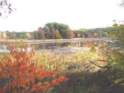 Brickyard Road Twin Lake, MI 49457 - Photo 3 of 14 3