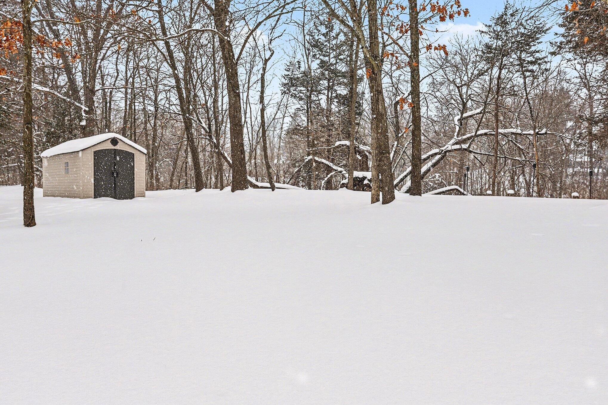 1401 Springview Court Middleville, MI 49333 - Photo 26 of 28 1401 Springview Back Yard