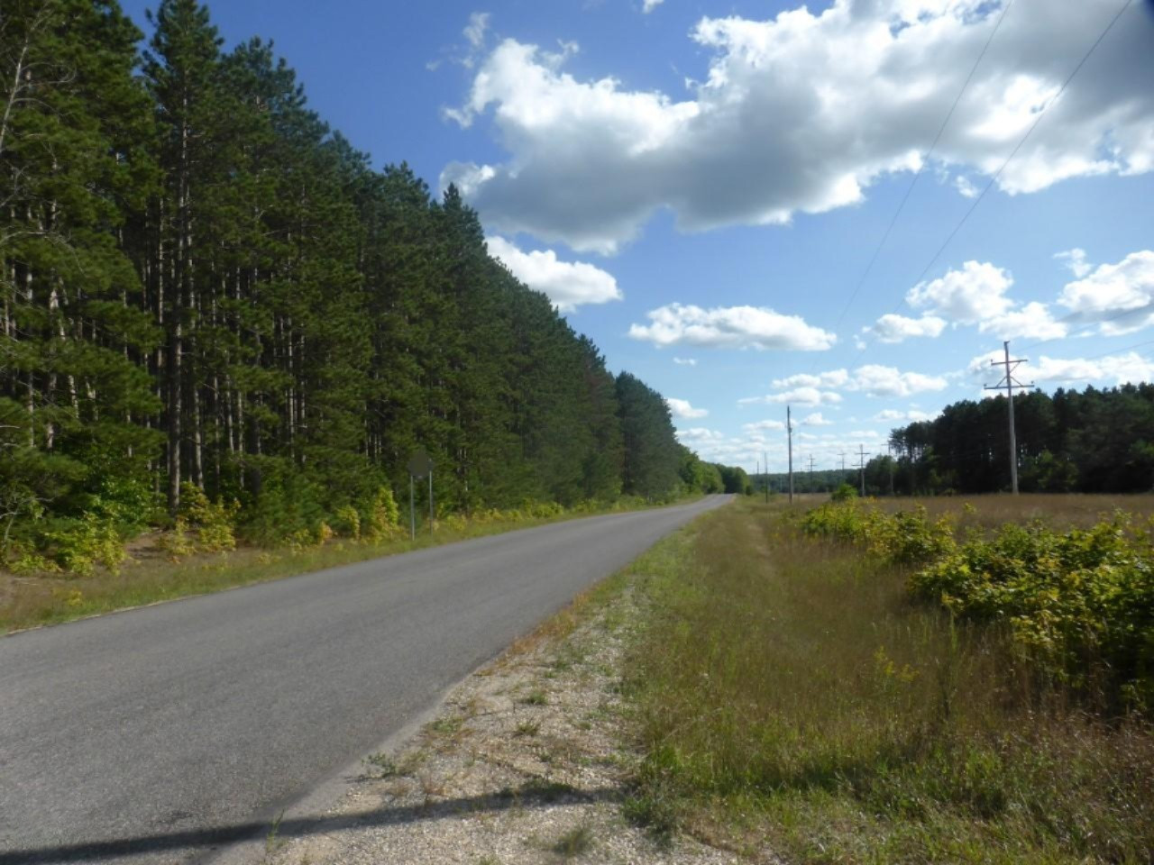 5-acres Harlan Road Copemish, MI 49625 - Photo 3 of 21 P1120676 (Custom)