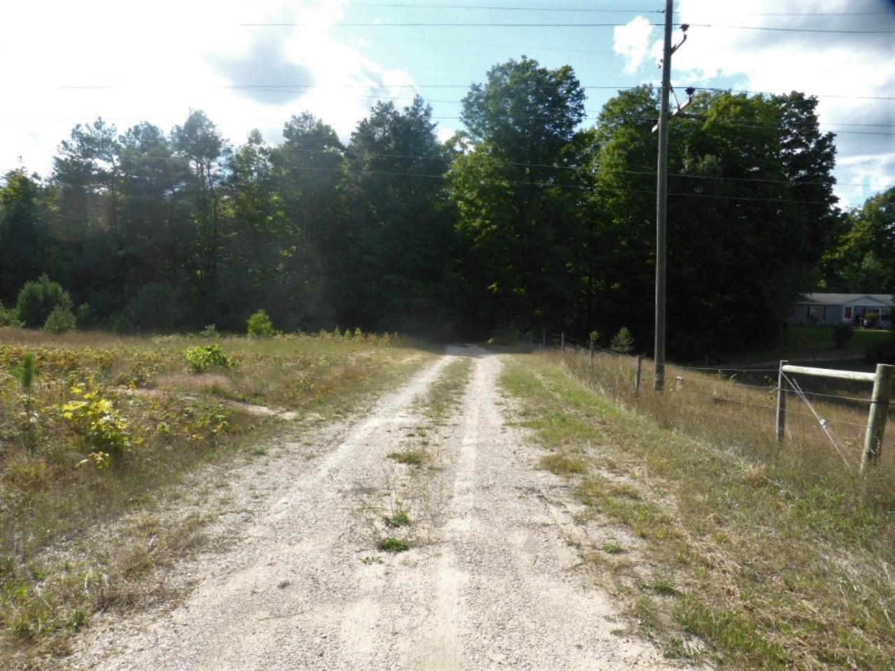 5-acres Harlan Road Copemish, MI 49625 - Photo 5 of 21 P1120677 (Custom)