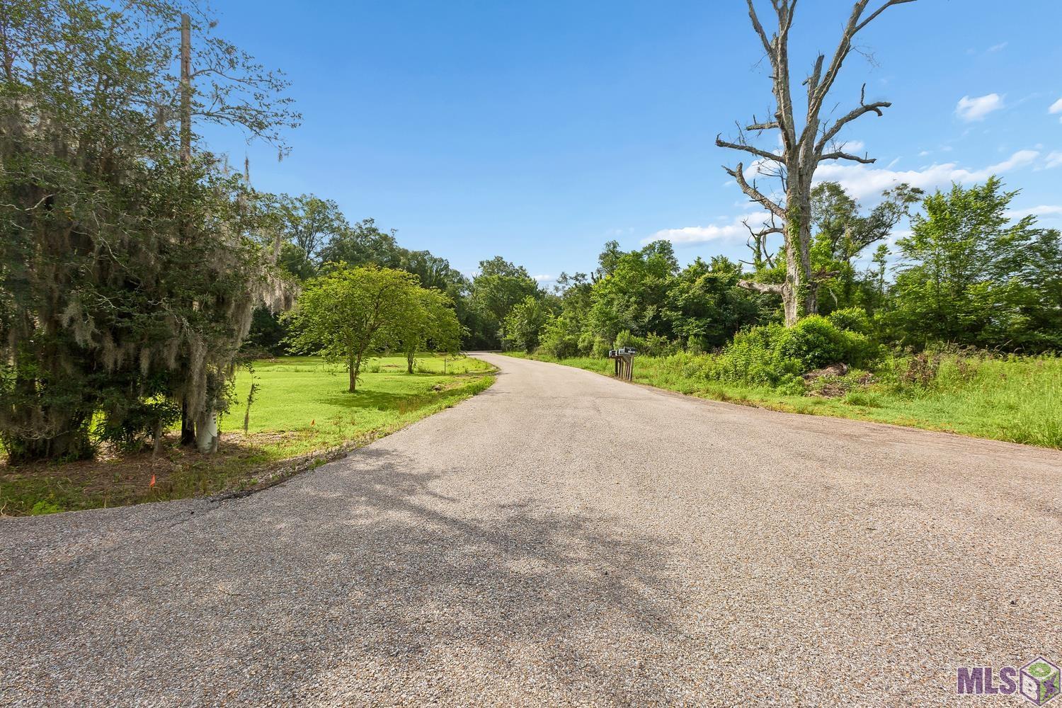 12246 Peter Bourgeois Road St. Amant, LA 70774 - Photo 8 of 21