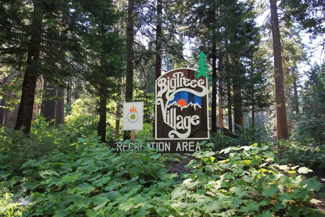 a view of a water fountain in front of the building