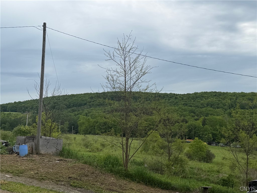 441 Neal Road Lincklaen, NY 13124 - Photo 5 of 44 view across the road
