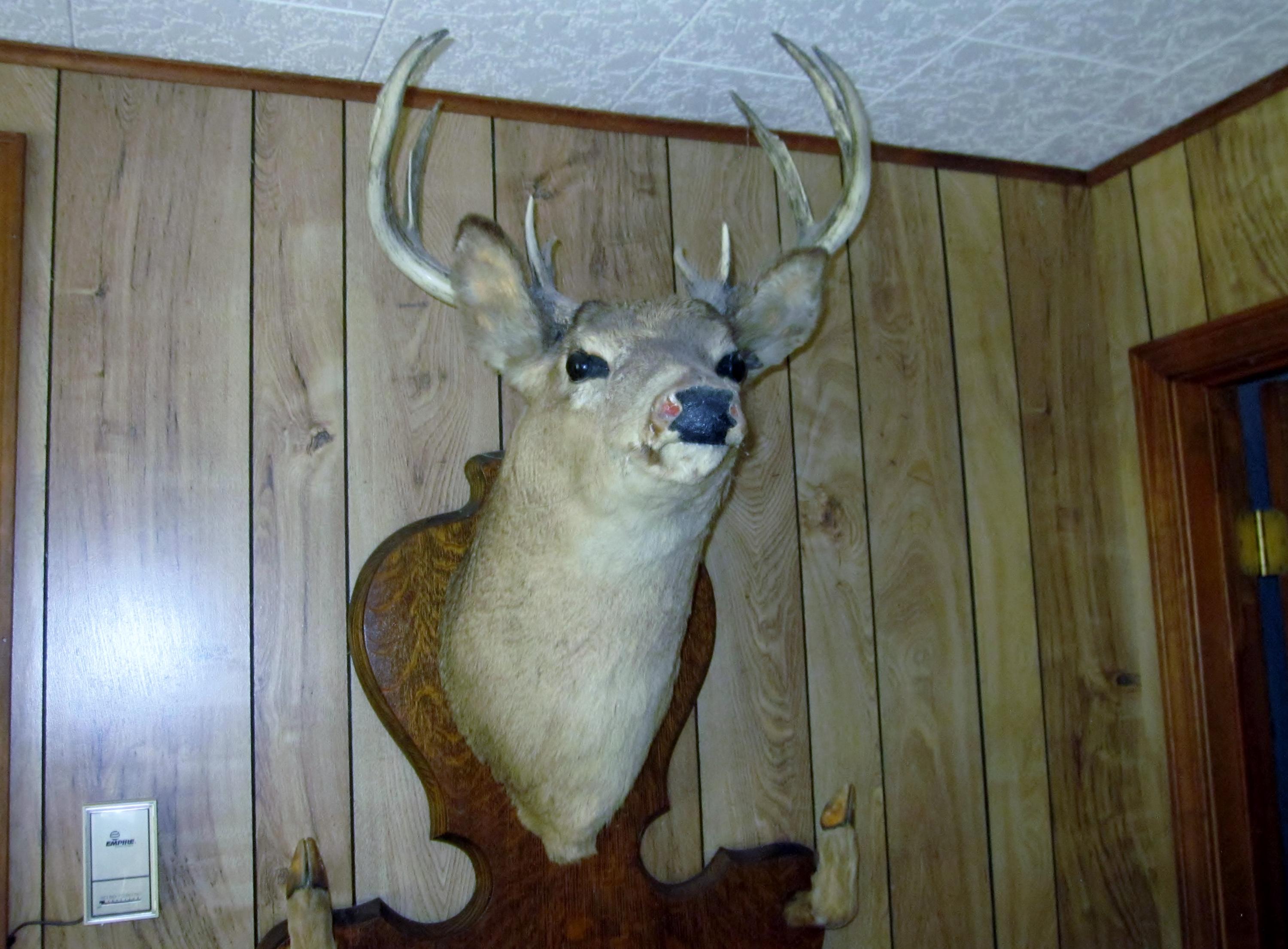 16790 Ole Railroad Grade Road Atlanta, MI 49709 - Photo 19 of 40 Gallery Image 19