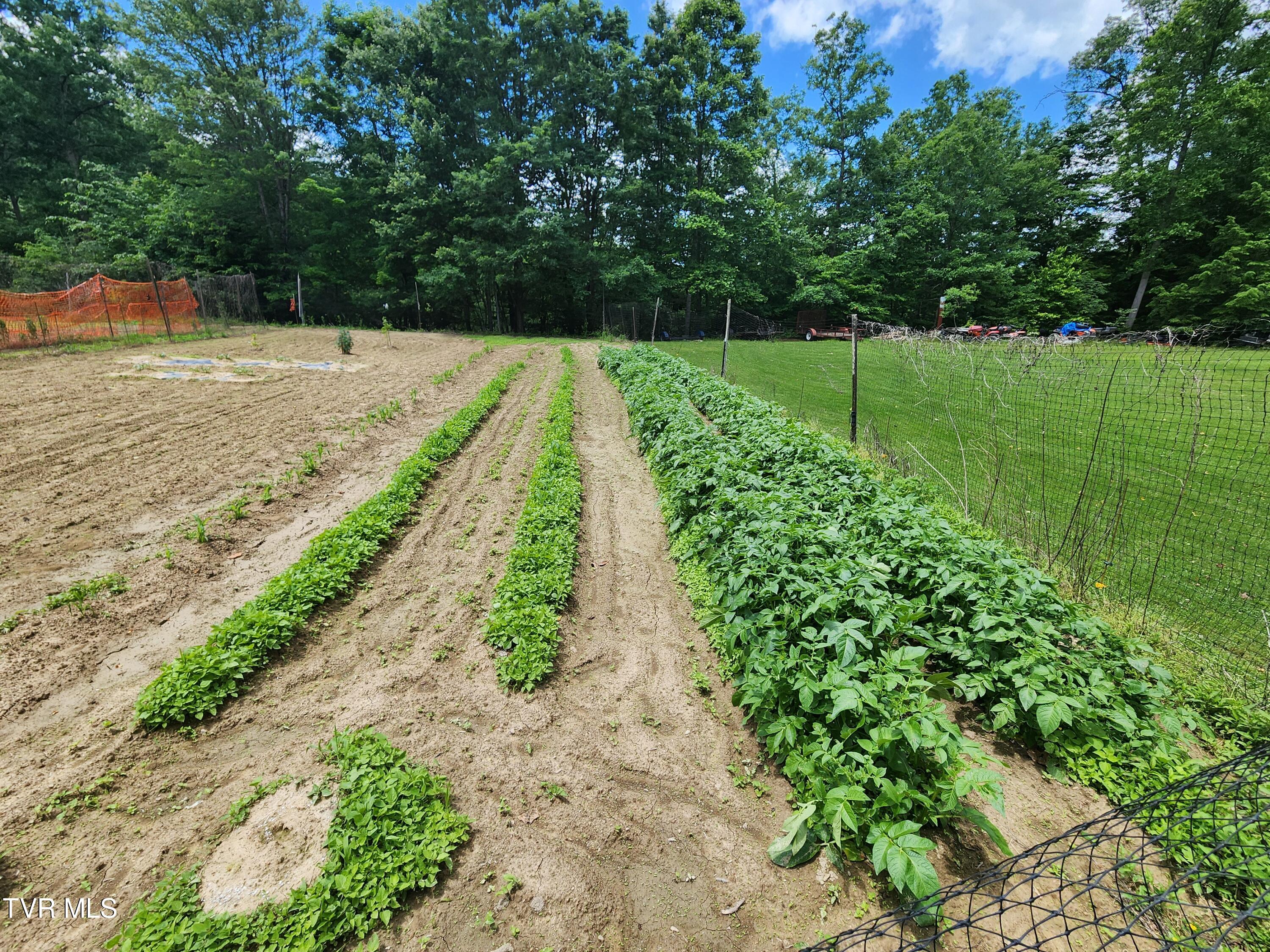 639 Dream Farm Road Birchleaf, VA 24220 - Photo 44 of 153 20240529_125116
