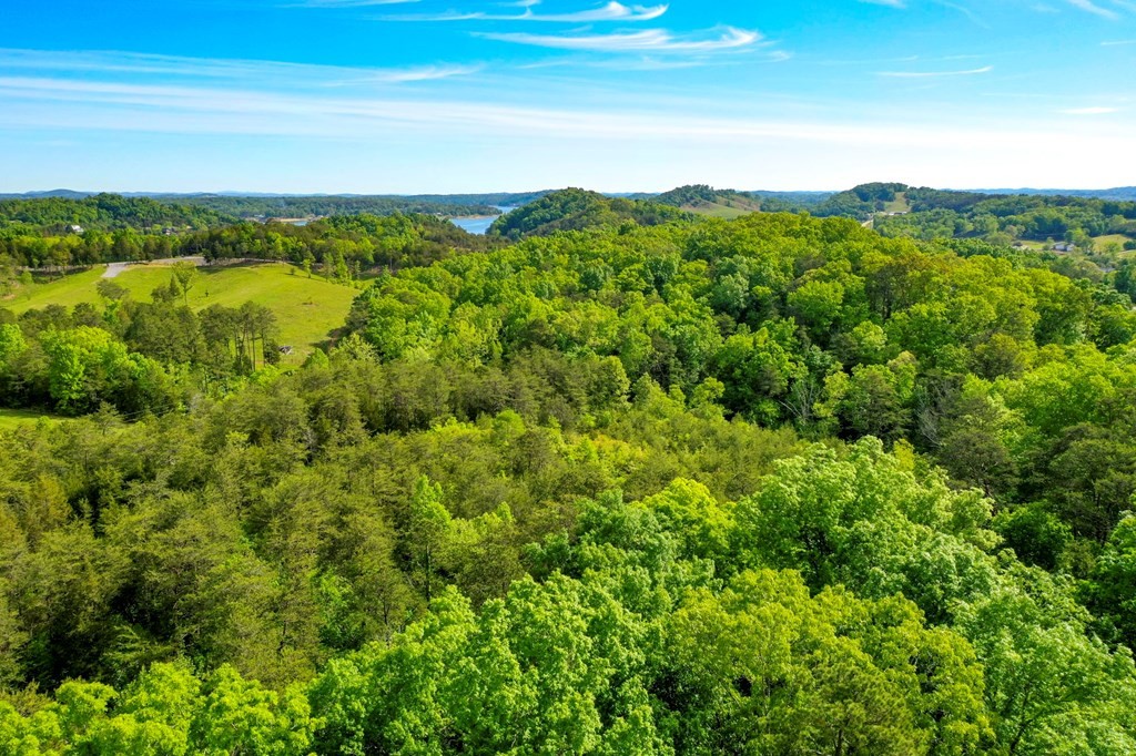 23 Sandy Ridge Road Dandridge, TN 37725 - Photo 7 of 37
