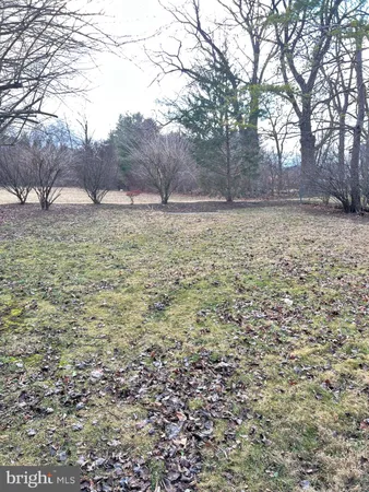 a view of a yard with a tree