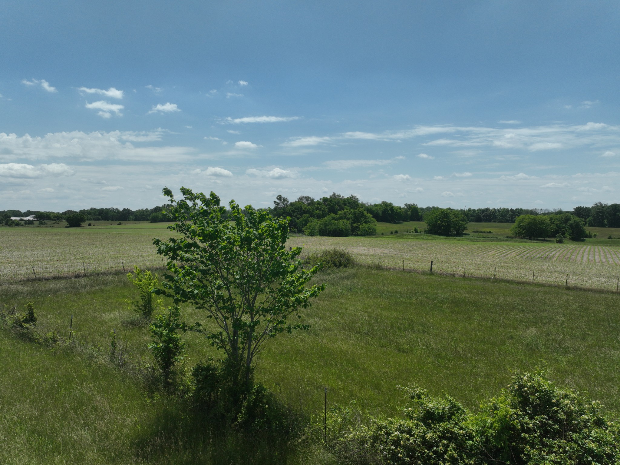 5901 Payne Road Portland, TN 37148 - Photo 16 of 19