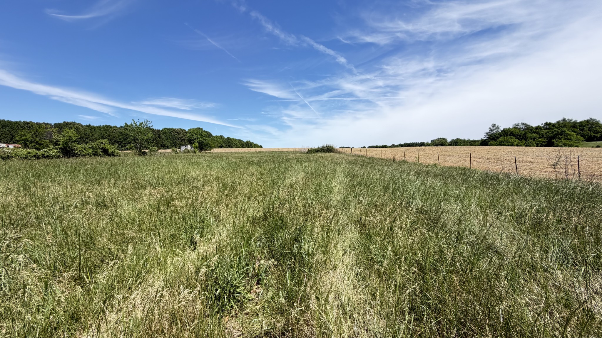 5901 Payne Road Portland, TN 37148 - Photo 4 of 19