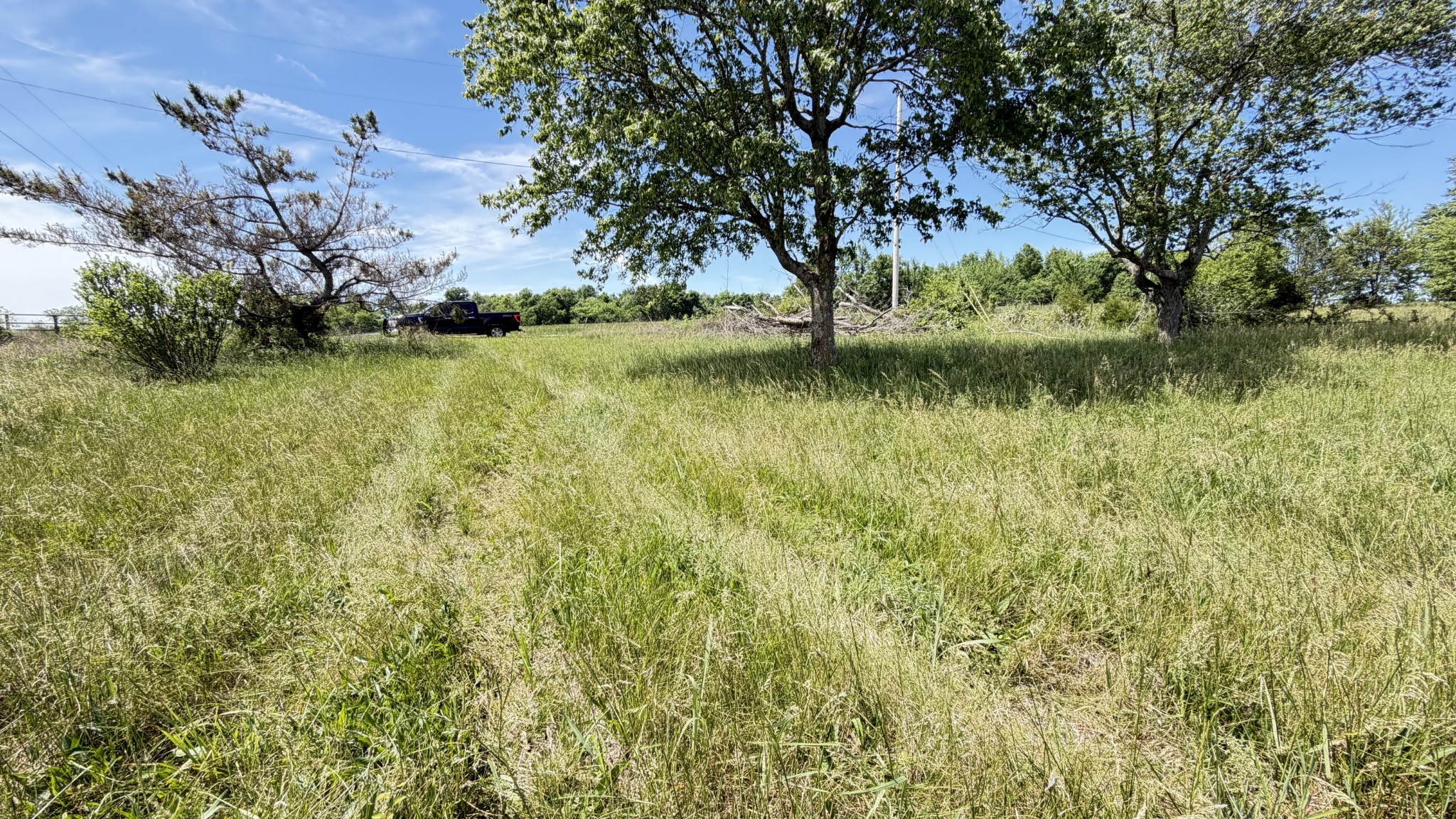 5901 Payne Road Portland, TN 37148 - Photo 5 of 19