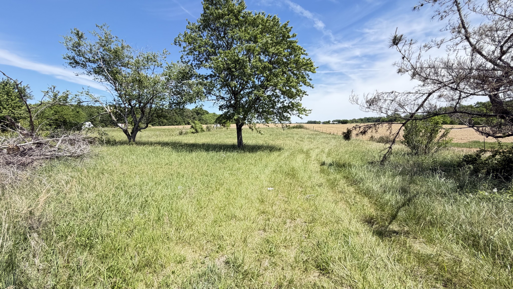 5901 Payne Road Portland, TN 37148 - Photo 7 of 19