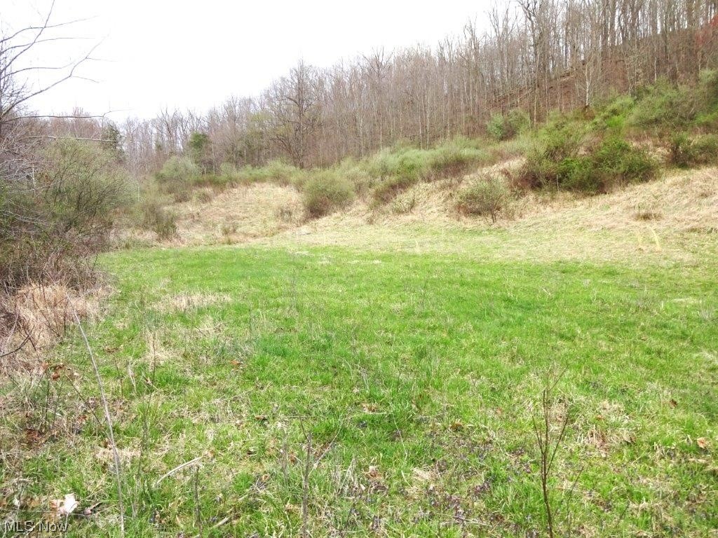 0 Triplett Road Spencer, WV 25276 - Photo 13 of 34
