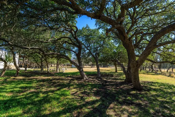 a view of backyard with green space