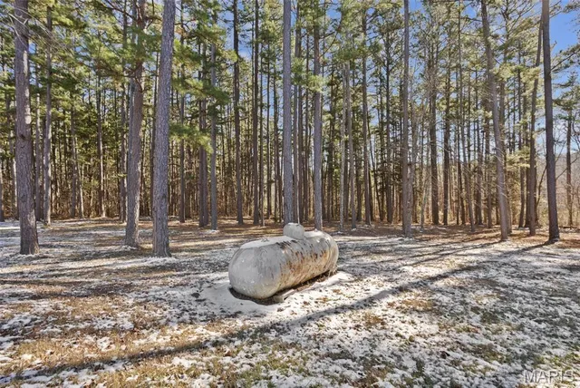 $199,900 | 10311 Wayne Drive, Potosi, MO 63664