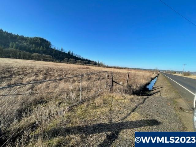 Tl # 844341 Richardson Gap Road Scio, OR 97374 - Photo 3 of 14