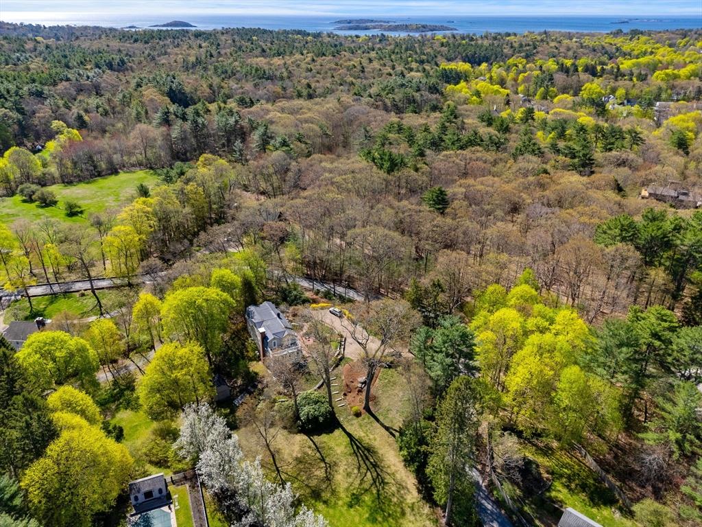 7 Preston Place Beverly, MA 01915 - Photo 3 of 9 a view of a bunch of flowers and trees