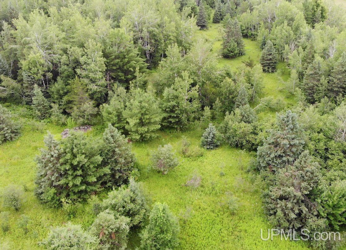 15 Grenlund Road Bruce Crossing, MI 49912 - Photo 1 of 18