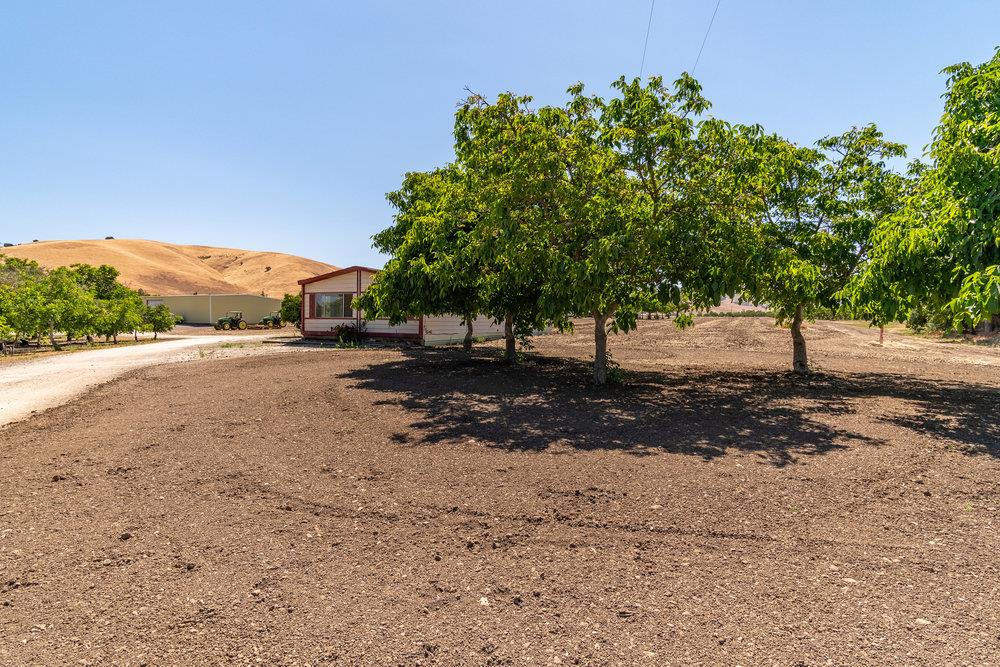 1177 Orchard Road Hollister, CA 95023 - Photo 53 of 79 a view of dirt yard with a large tree