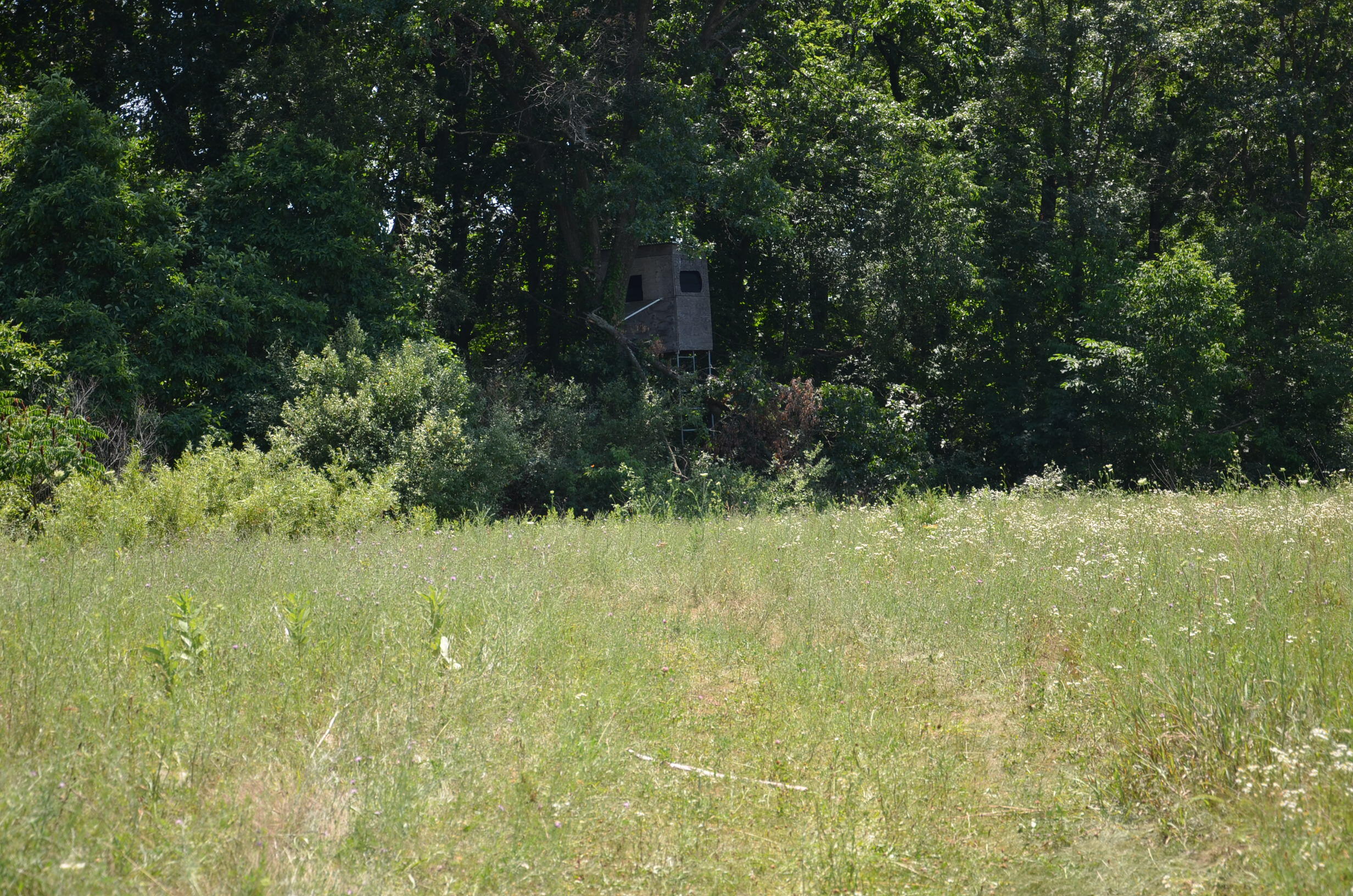 North Payne Lake Road Middleville, MI 49333 - Photo 28 of 42 DSC_6206