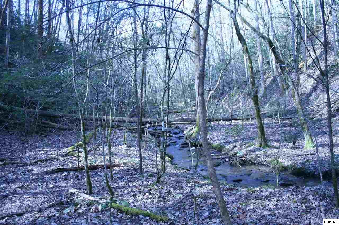 0 Ball Hollow Road Cosby, TN 37722 - Photo 18 of 36 Gallery Image 18