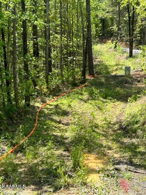 11 Liggett Road Decatur, TN 37322 - Photo 11 of 48
