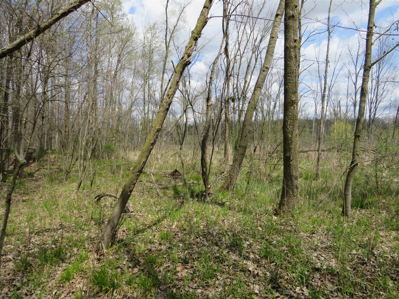 Peoples Road Blanchard, MI 49310 - Photo 9 of 26