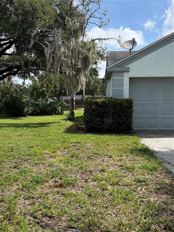 1636 Baker Road Lutz, FL 33559 - Photo 2 of 13 a view of a backyard with potted plants and large tree