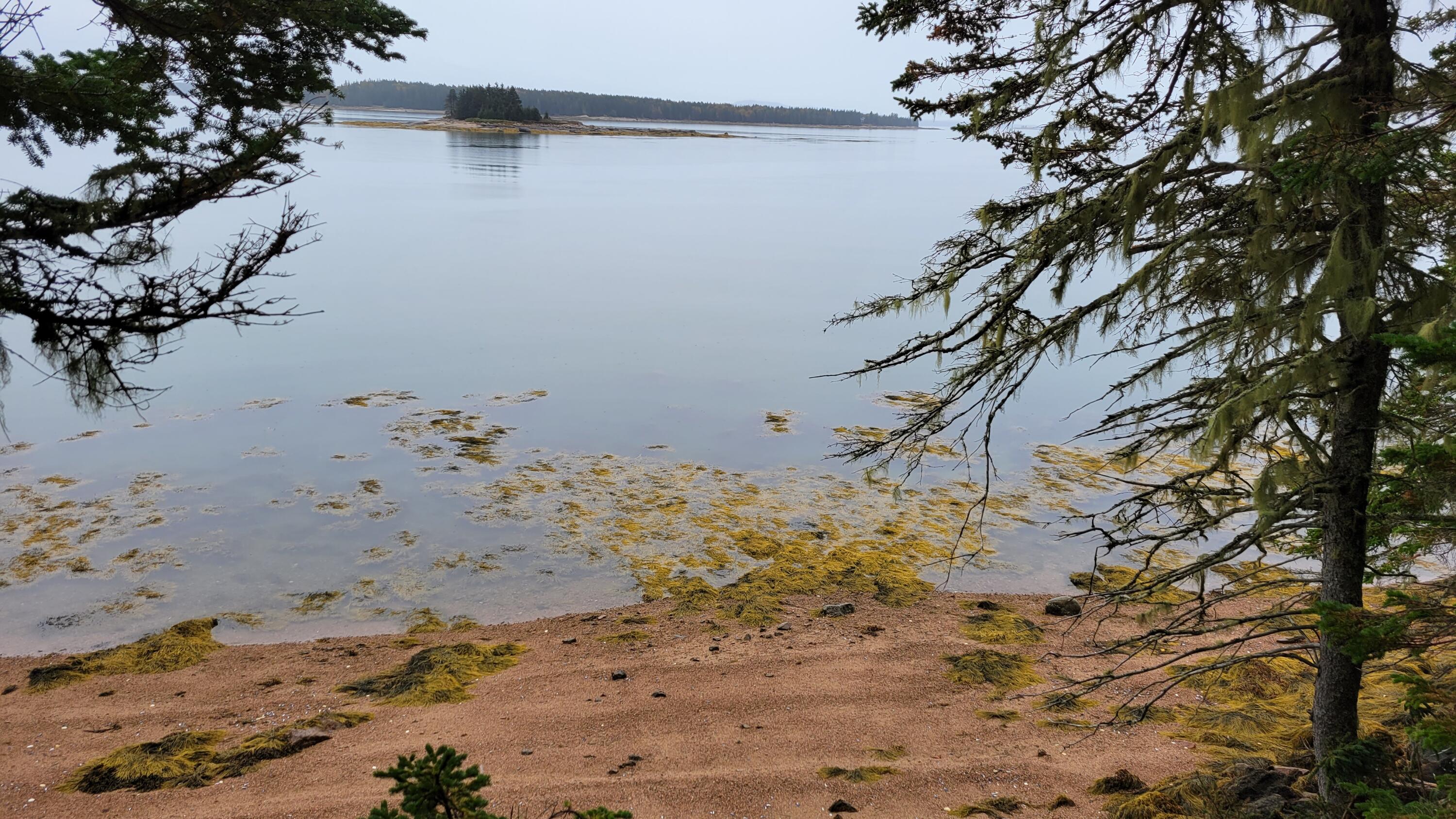 0 Sunshine Road Deer Isle, ME 04627 - Photo 1 of 20 Shore