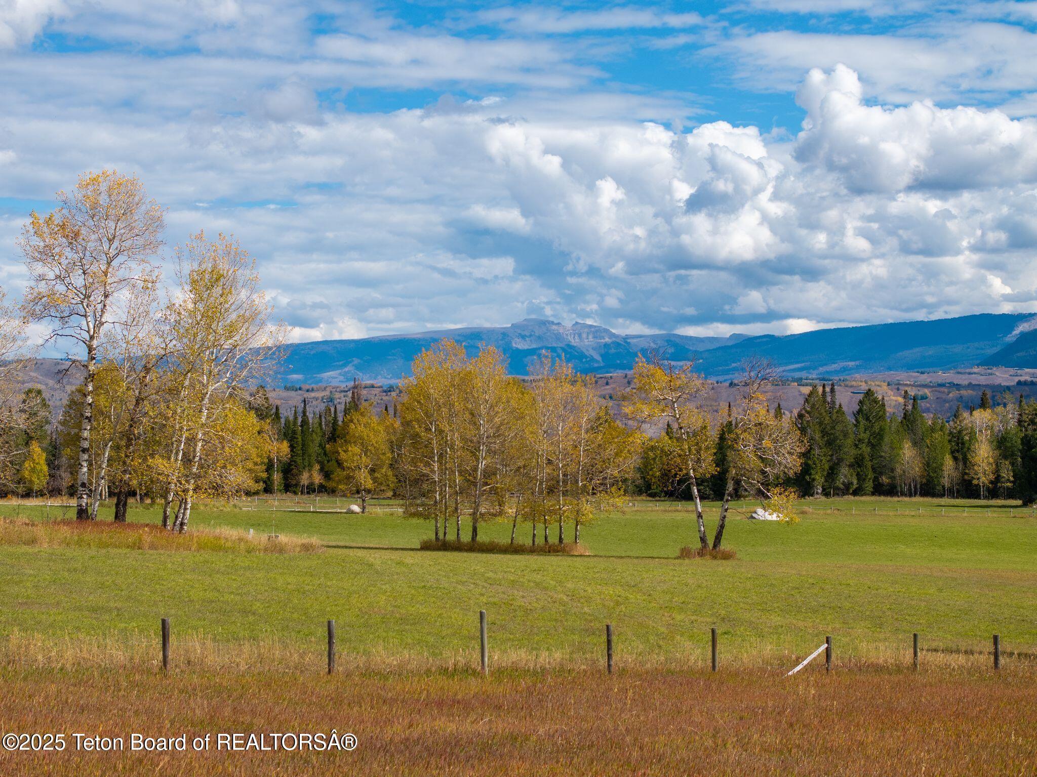 6255 Highway 22 Wilson, WY 83014 - Photo 16 of 36 6255 W Hwy 22-16