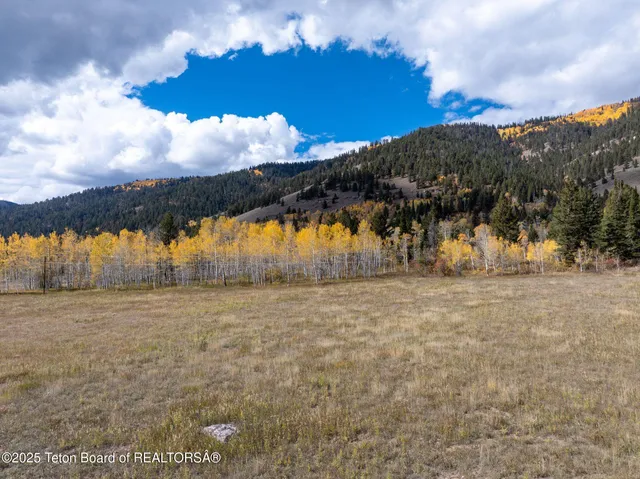 $34,999,999 | 6255 Highway 22, Wilson, WY 83014