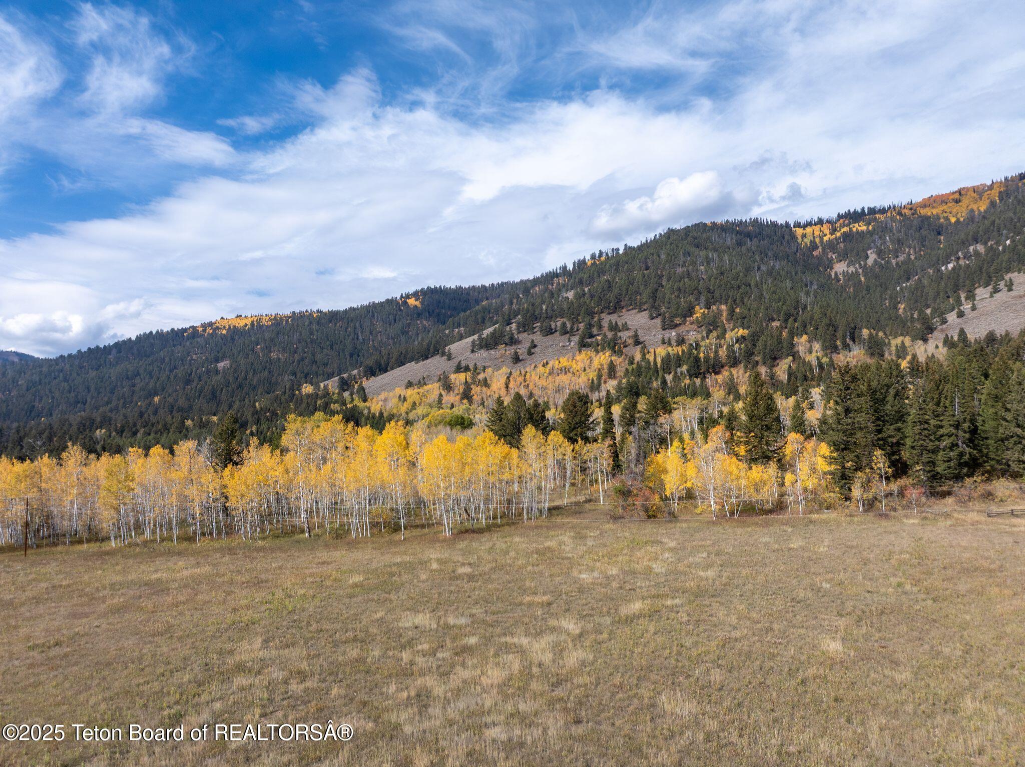 6255 Highway 22 Wilson, WY 83014 - Photo 9 of 36 6255 W Hwy 22-9