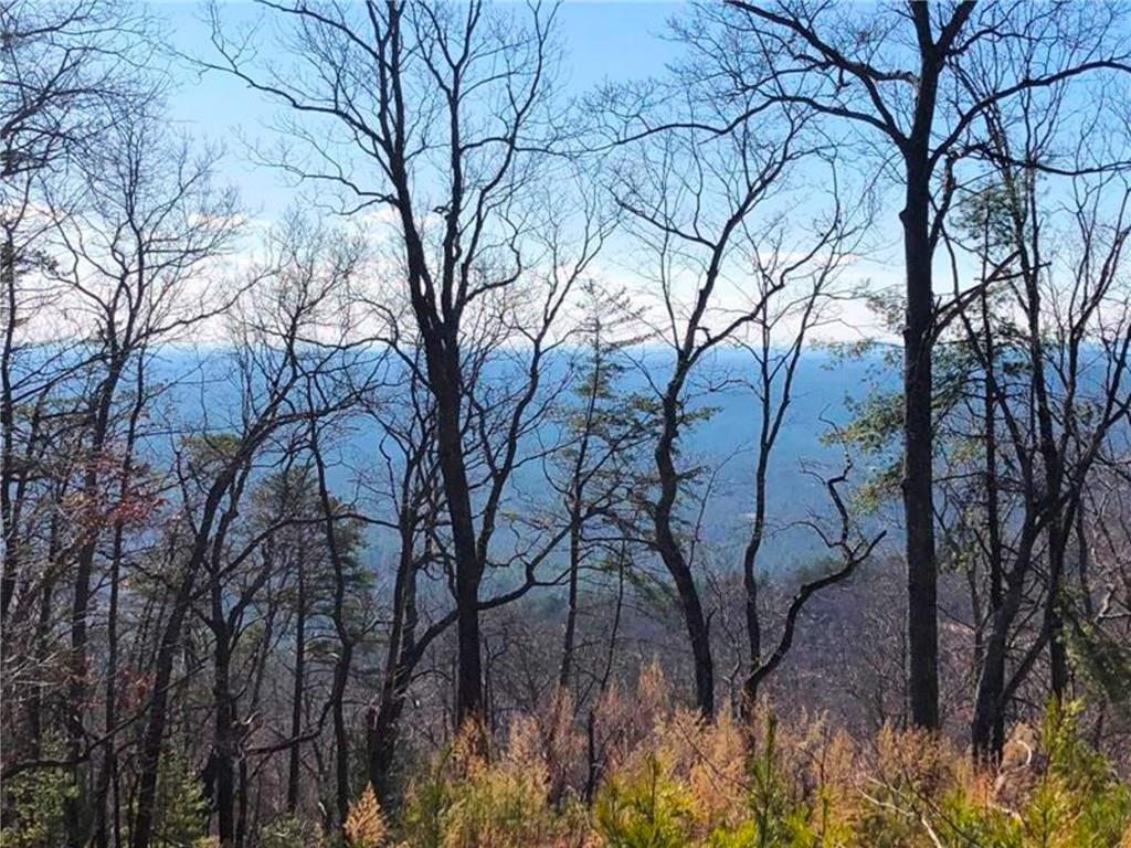 0 Cooper Gap Road Dahlonega, GA 30533 - Photo 4 of 8