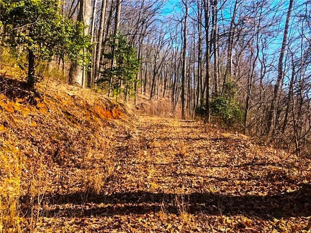 0 Cooper Gap Road Dahlonega, GA 30533 - Photo 5 of 8