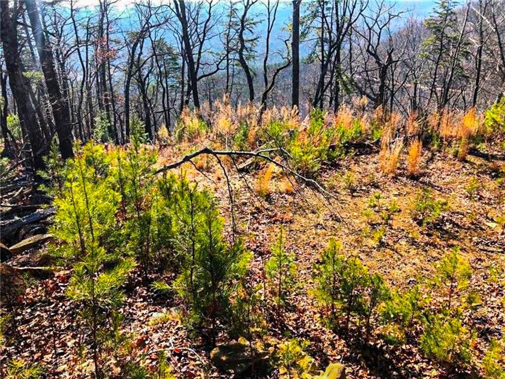 0 Cooper Gap Road Dahlonega, GA 30533 - Photo 7 of 8