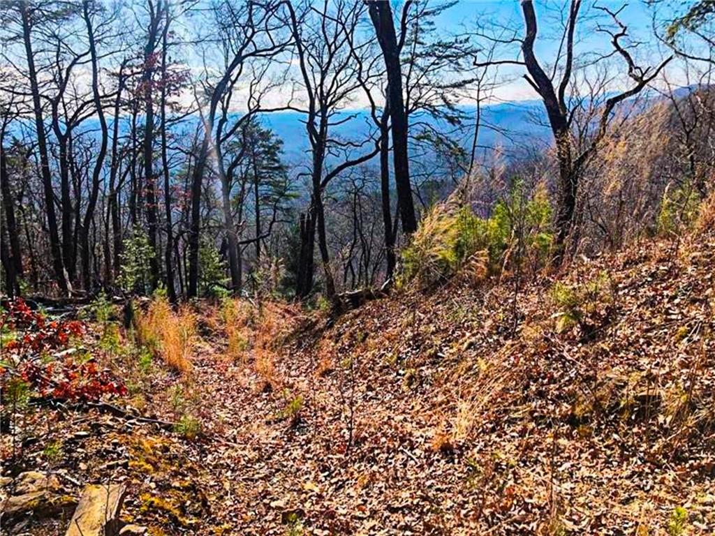 0 Cooper Gap Road Dahlonega, GA 30533 - Photo 8 of 8