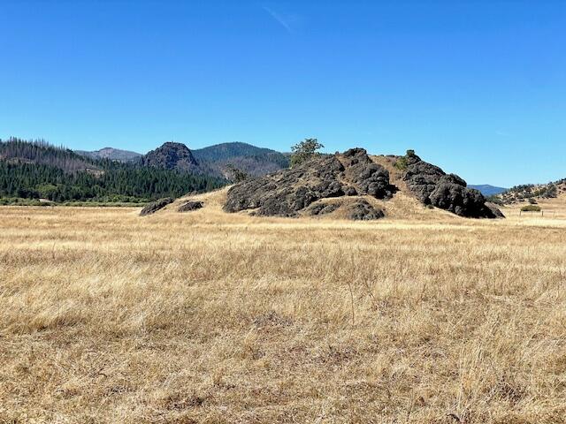 10001 Ruth-zenia Road Zenia, CA 95595 - Photo 24 of 39