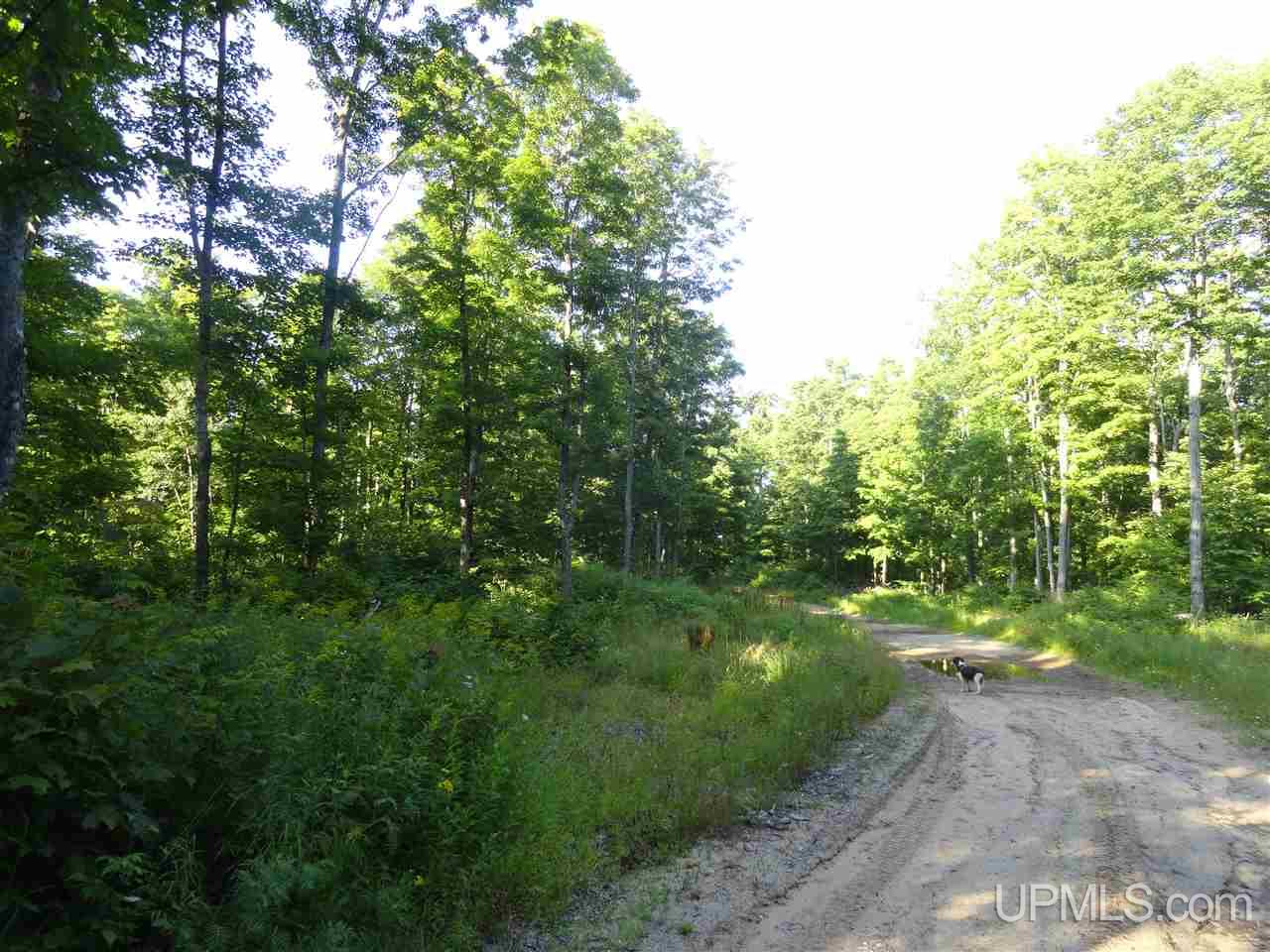 80 NORTH Off Co Road Ishpeming, MI 49849 - Photo 6 of 19