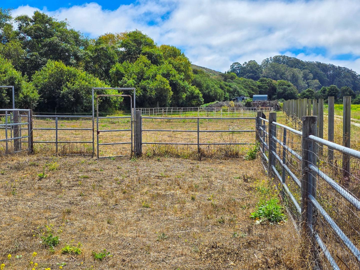 393 Stage Road Pescadero, CA 94060 - Photo 19 of 54