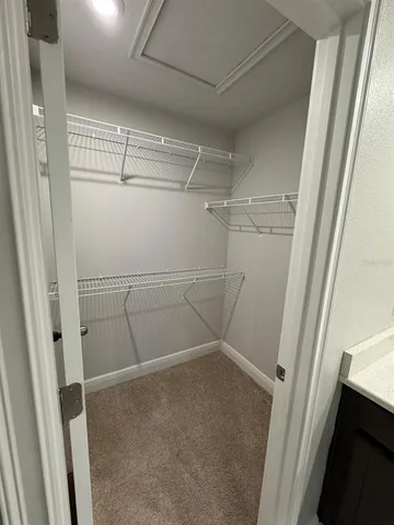 a bathroom with a shower and a toilet