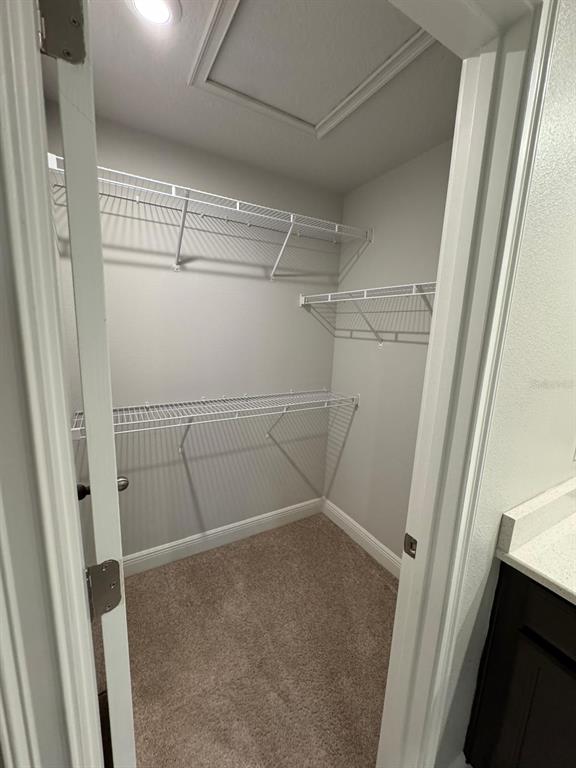 5912 Grand Sonata Avenue Lutz, FL 33558 - Photo 18 of 36 a view of a room with racks on the wall