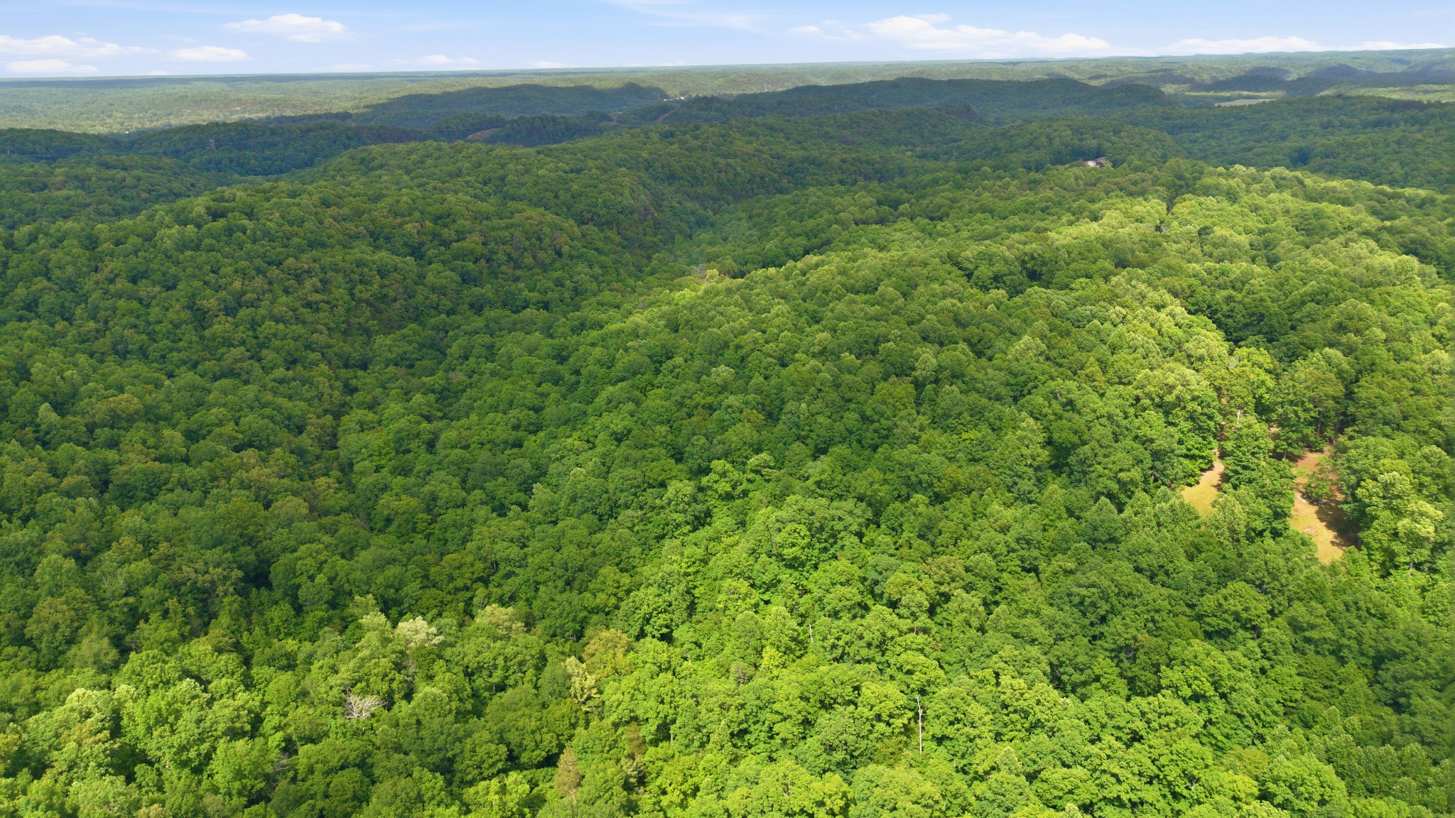 957 Ford Road White Bluff, TN 37187 - Photo 59 of 60