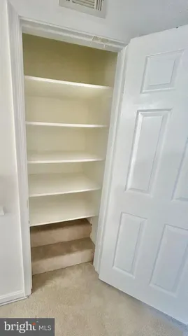 a view of walk in closet with empty racks