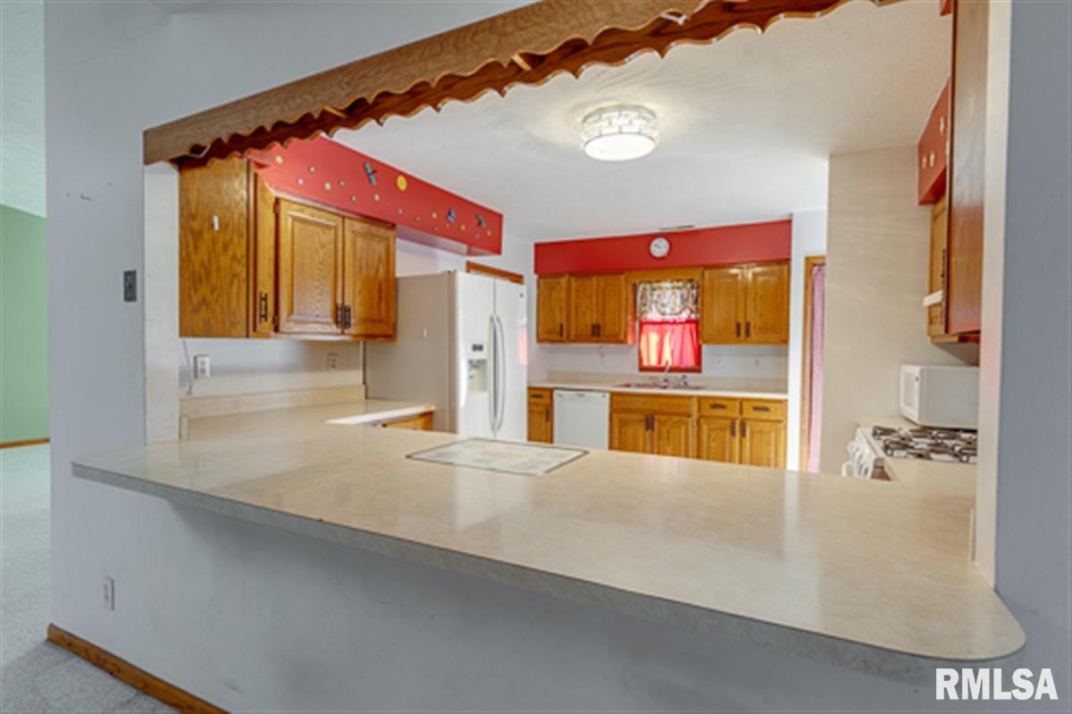 5943 Prairie School Road Riverton, IL 62561 - Photo 13 of 28